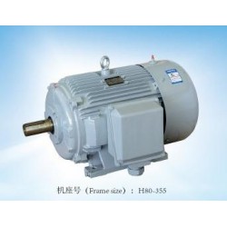 專業的閥門電機，哪里可以買到精湛的YE2系列三相異步電動機