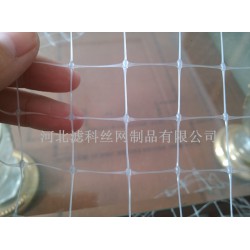 人氣新品，誠(chéng)意來襲★雙向拉伸塑料網(wǎng)