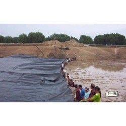 專(zhuān)用蓮藕種植防滲土工膜