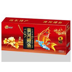 山東物超所值的黃河鯉魚禮盒【供應】，聊城黃河鯉魚禮盒