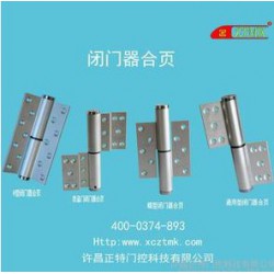 許昌閉門器合頁(yè)選許昌正特門控_價(jià)格優(yōu)惠 供應(yīng)閉門器合頁(yè)防盜門型