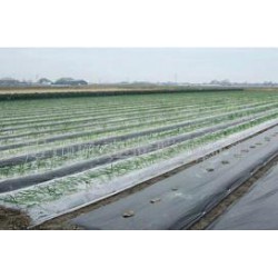 想買品牌好的除草地膜，就到開元塑料   ——山東地膜