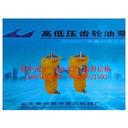 青州雙聯齒輪油泵：質量好的雙聯齒輪油泵就在振中液壓機械