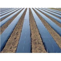 優(yōu)良的黑白膜就在新農塑料廠 PE消霧膜價格