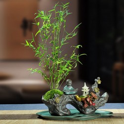 武漢辦公室盆栽室內盆景公司花卉，武漢室外苗木商場綠植工廠盆栽