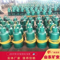 BQS(W)45KW礦用潛水排沙電泵