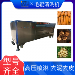 胡蘿卜去泥清洗機 紅薯毛輥清洗設備 連續式毛刷去雜清洗機