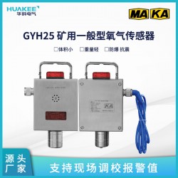 GYH25 礦用一般型氧氣傳感器 聲光報(bào)警提示