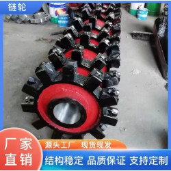 斗式提升機鏈輪 可按需定制
