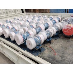 平旋型 渦旋型特種異步電動(dòng)機(jī)